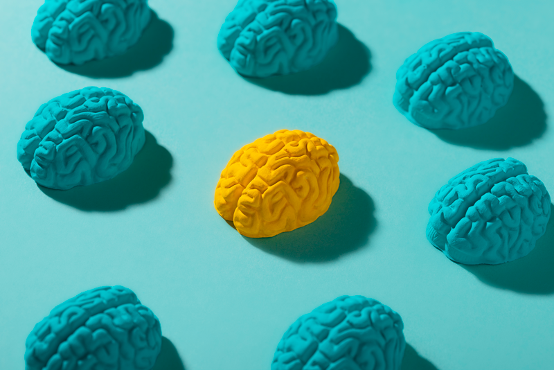 🧠 5 ejercicios de gimnasia cerebral para activar tu enfoque antes de leer